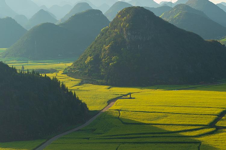 Green hills