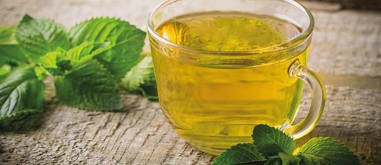 Mint tea