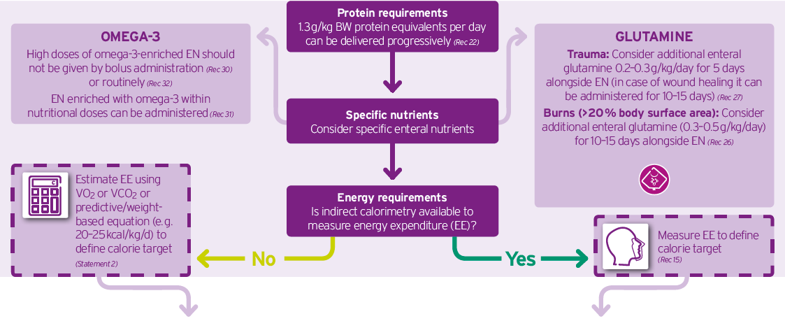 Nutrition requirements evaluation in the ICU