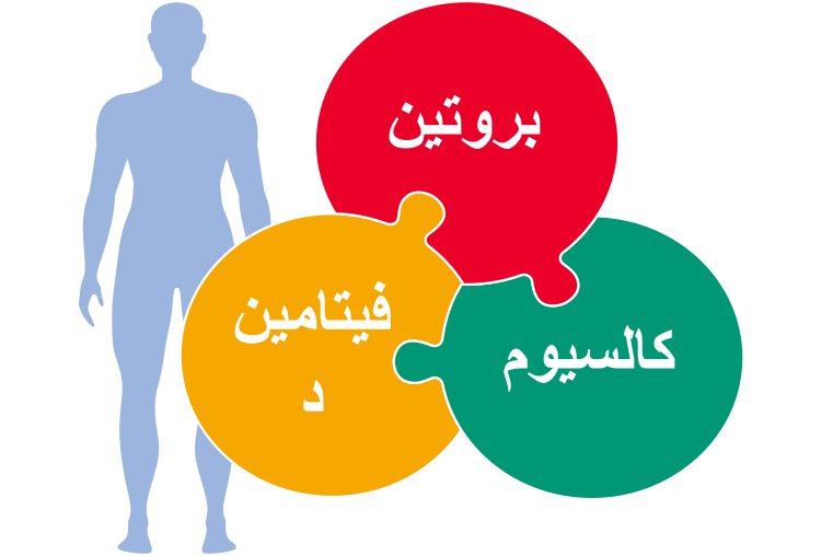 فيتامين د، كالسيوم، بروتين