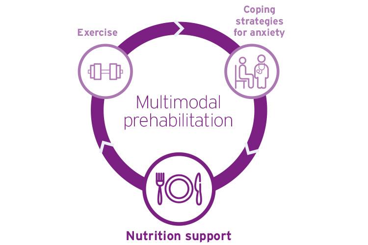Multimodal prehabilitation