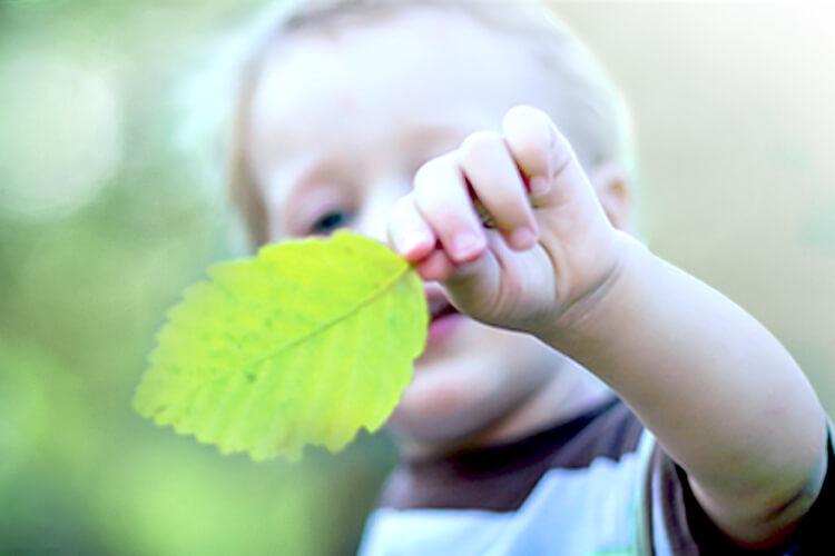 child holding a leaf