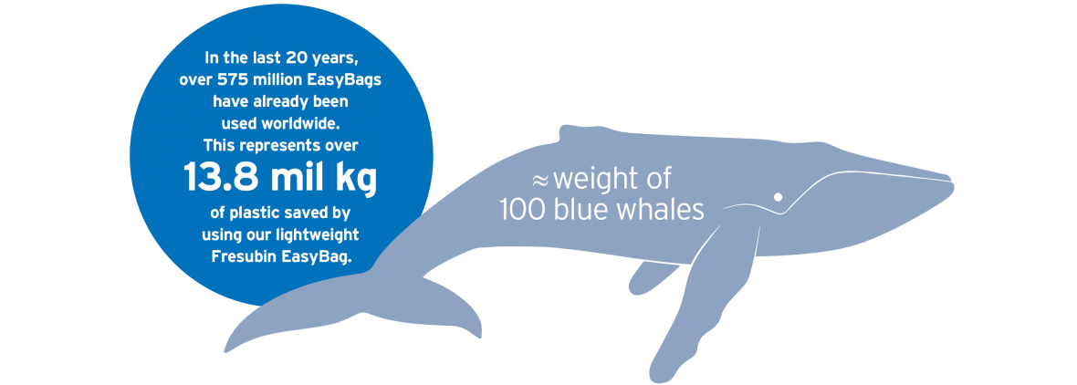 Whale