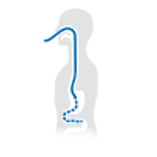 Gastric Intestinal Tube