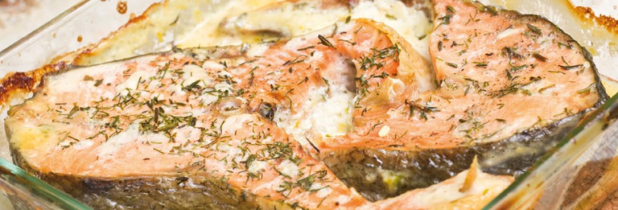 Salmon filet au gratin