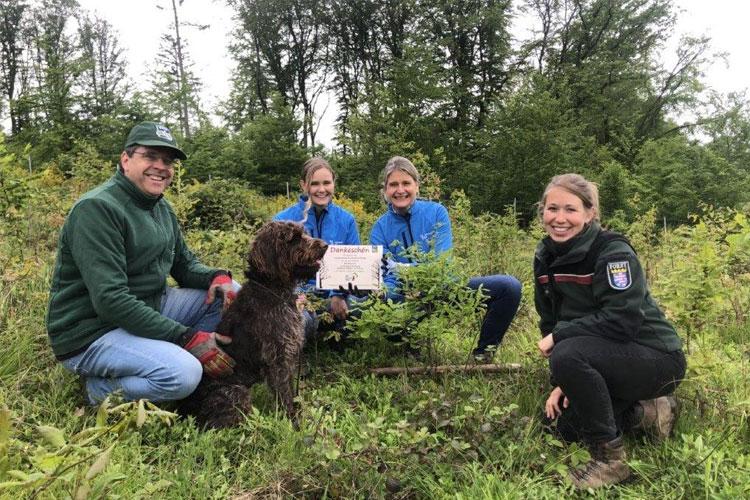 Fresenius Kabi Team pflanzt Setzlinge im Wald bei Kronberg