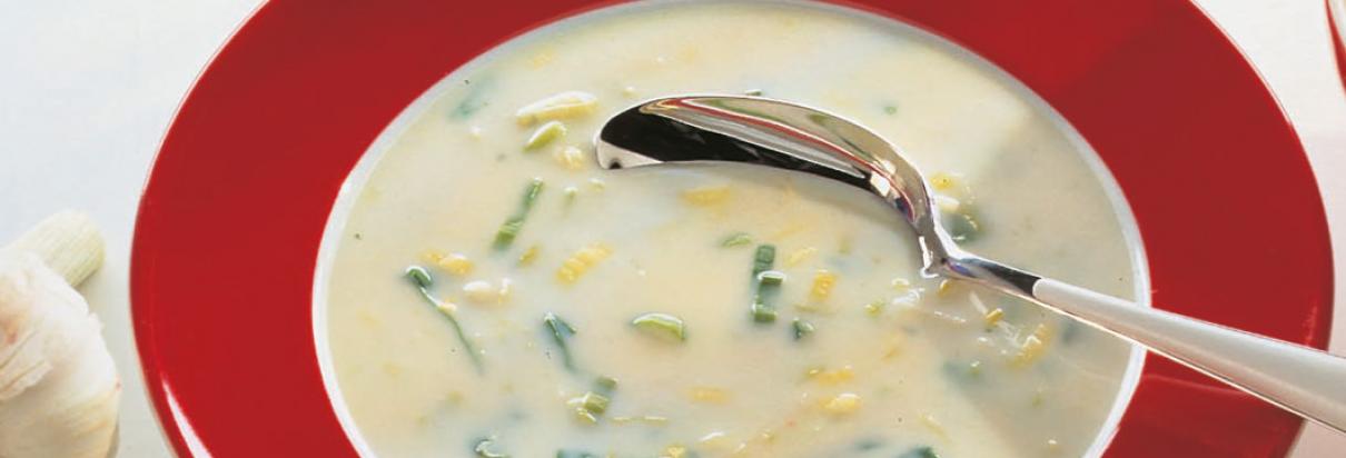 Leek cream soup